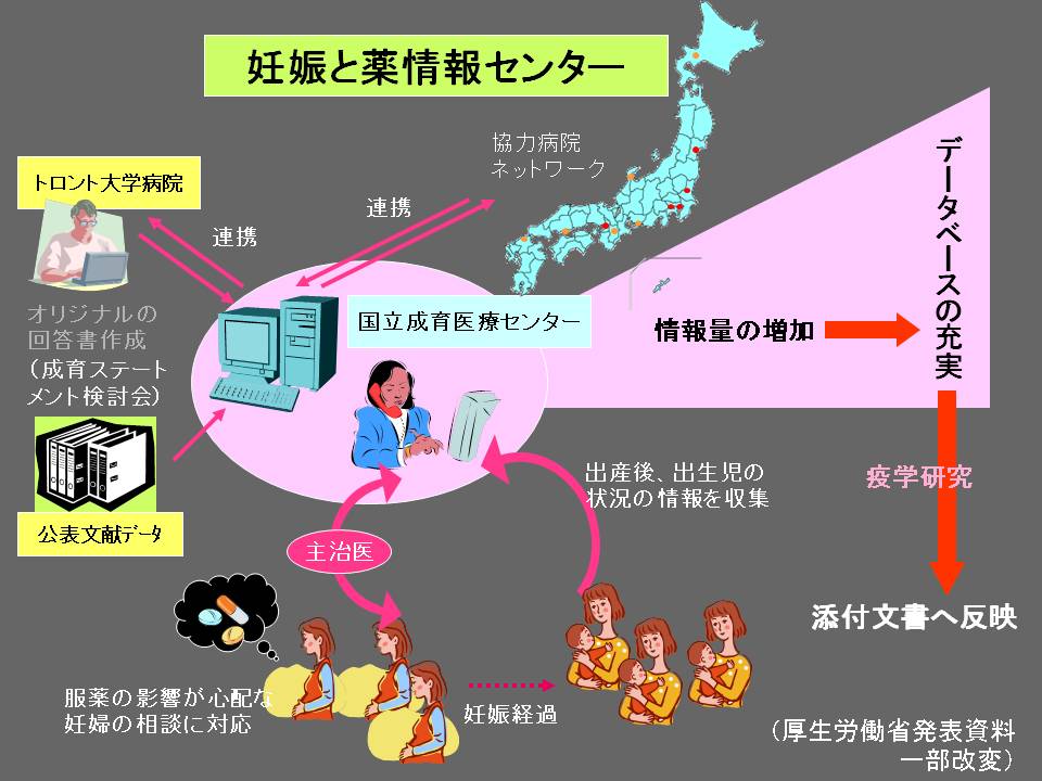 妊娠と薬情報センター