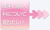 記者懇談会資料