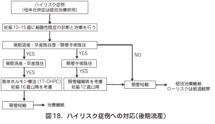 酸 妊婦 トラネキサム