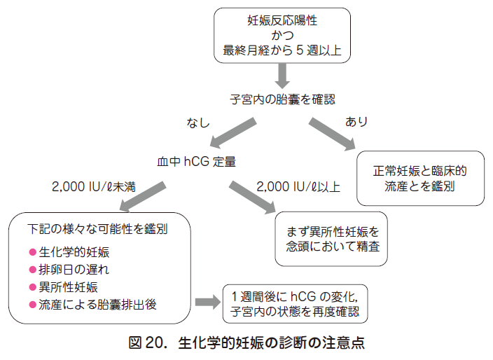 化学流産 生理こない