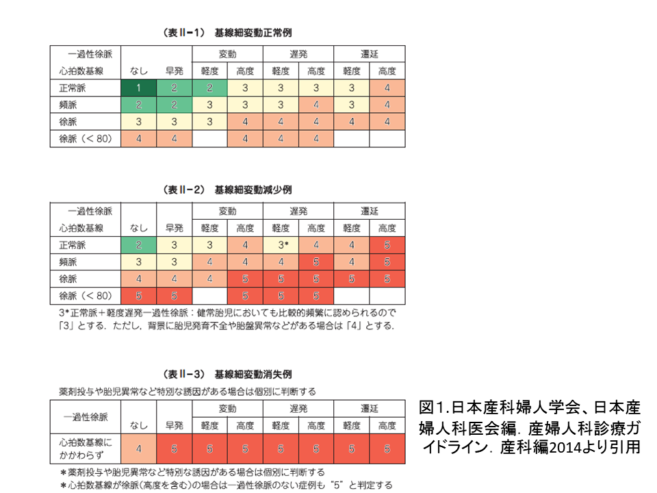 値 脈拍 正常