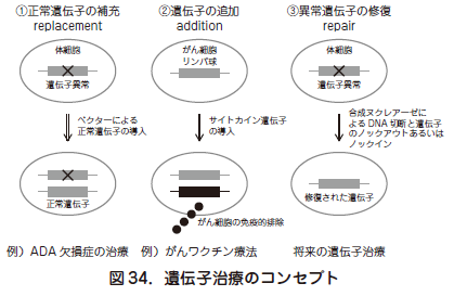 遺伝子治療 研究から臨床応用へ 島田 隆 日本産婦人科医会