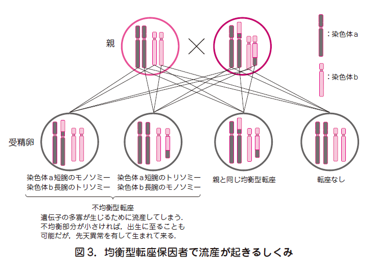 数 流産 確率 週