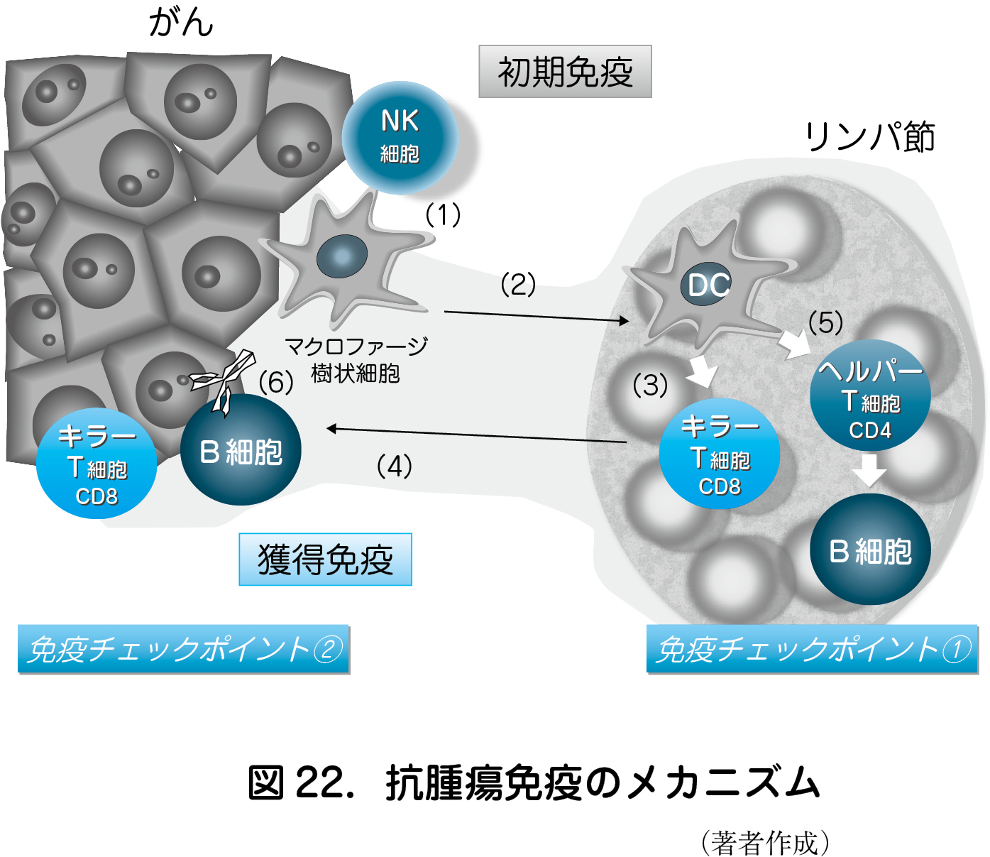 1 がん免疫療法 濵西潤三 日本産婦人科医会