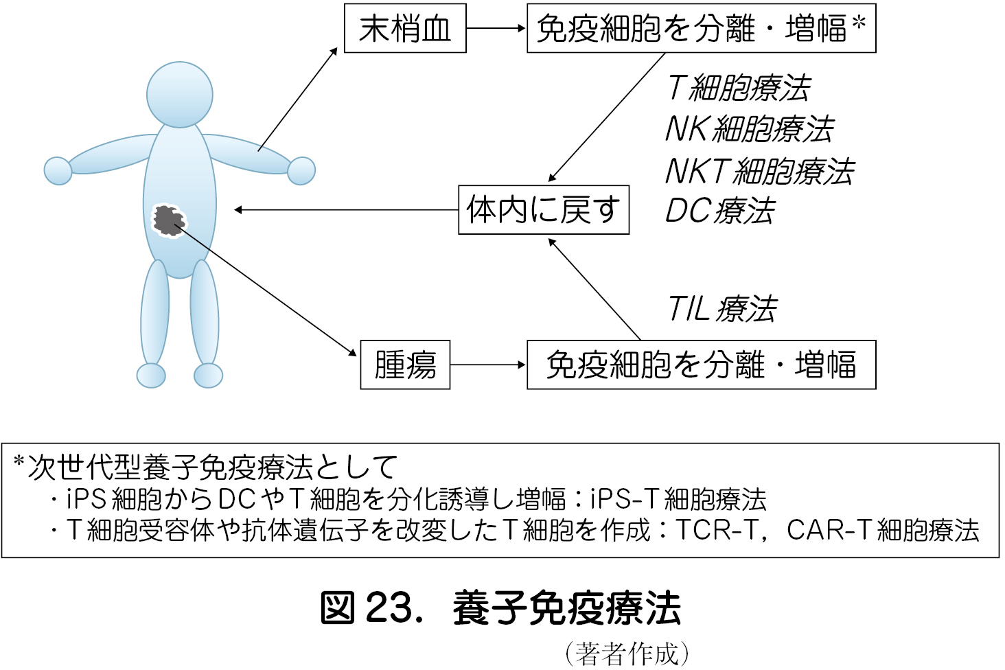 細胞 ナチュラル キラー