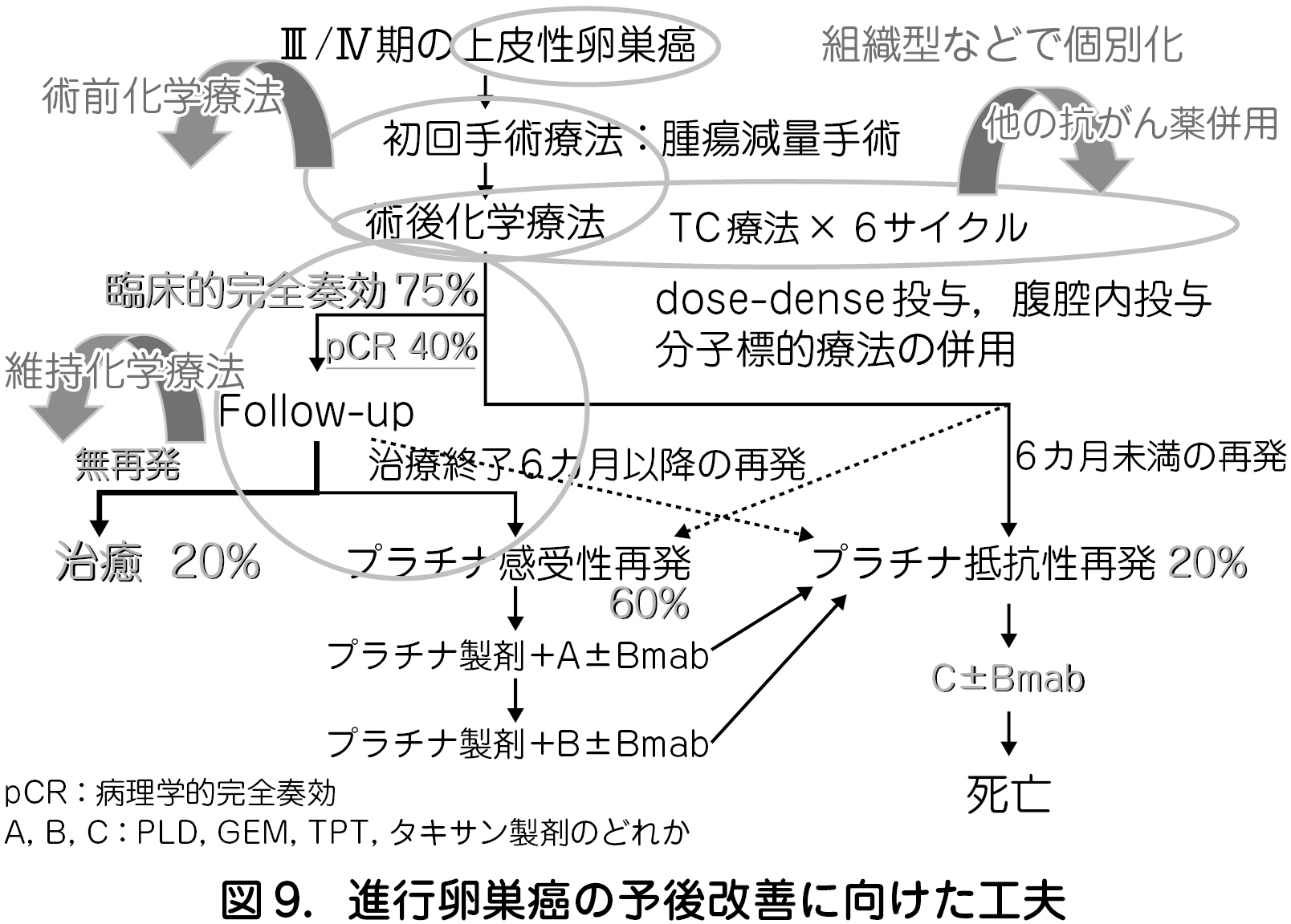 再発 卵巣 嚢腫 卵巣嚢腫（卵巣嚢胞）の原因・ストレスや冷えとの関係・悪化させない対策方法