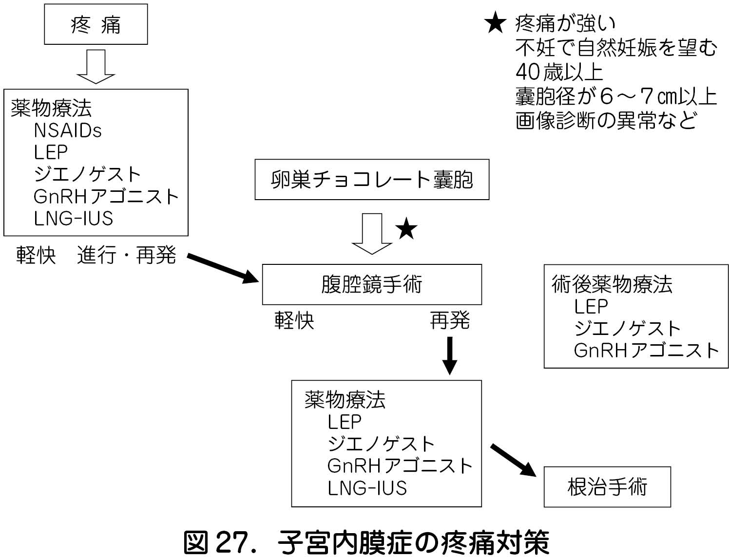 子宮 内 膜 症 治療