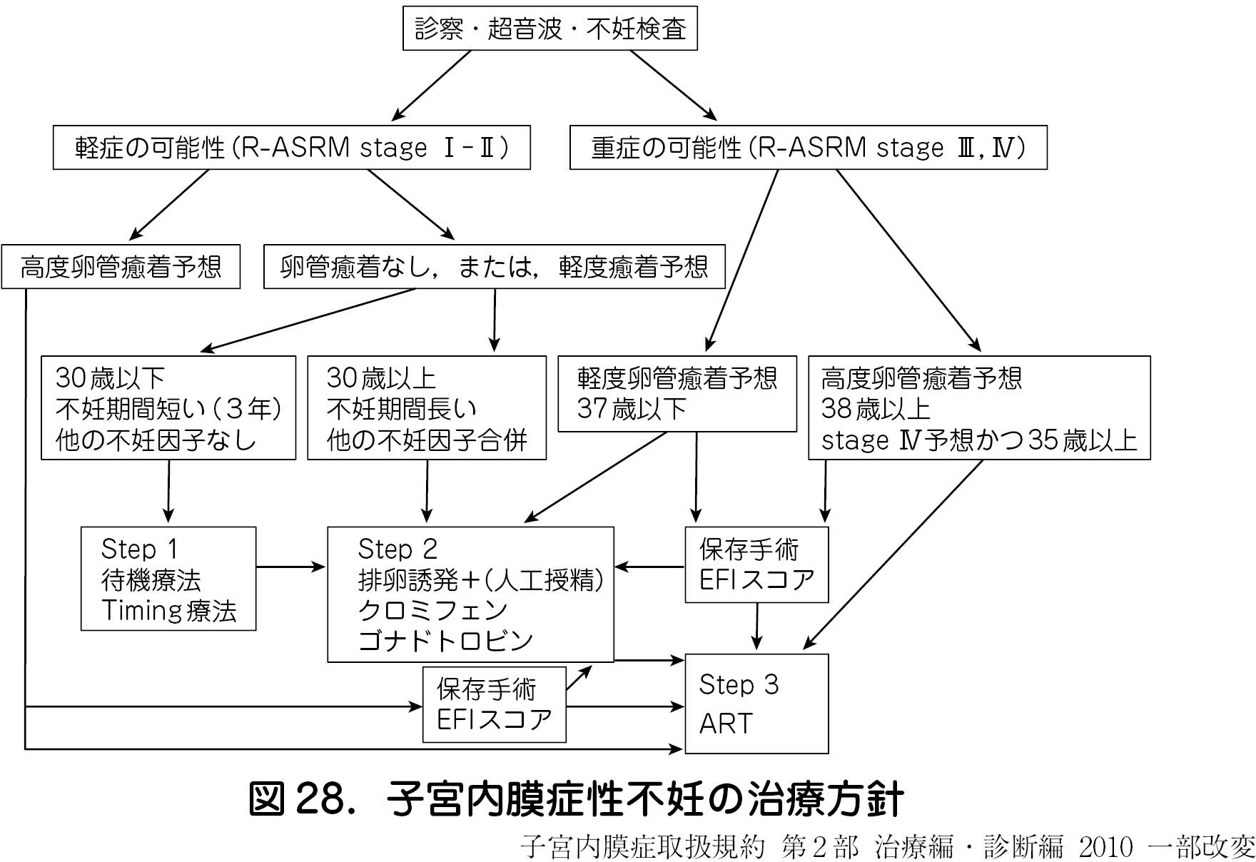 子宮 内 膜 症 治療