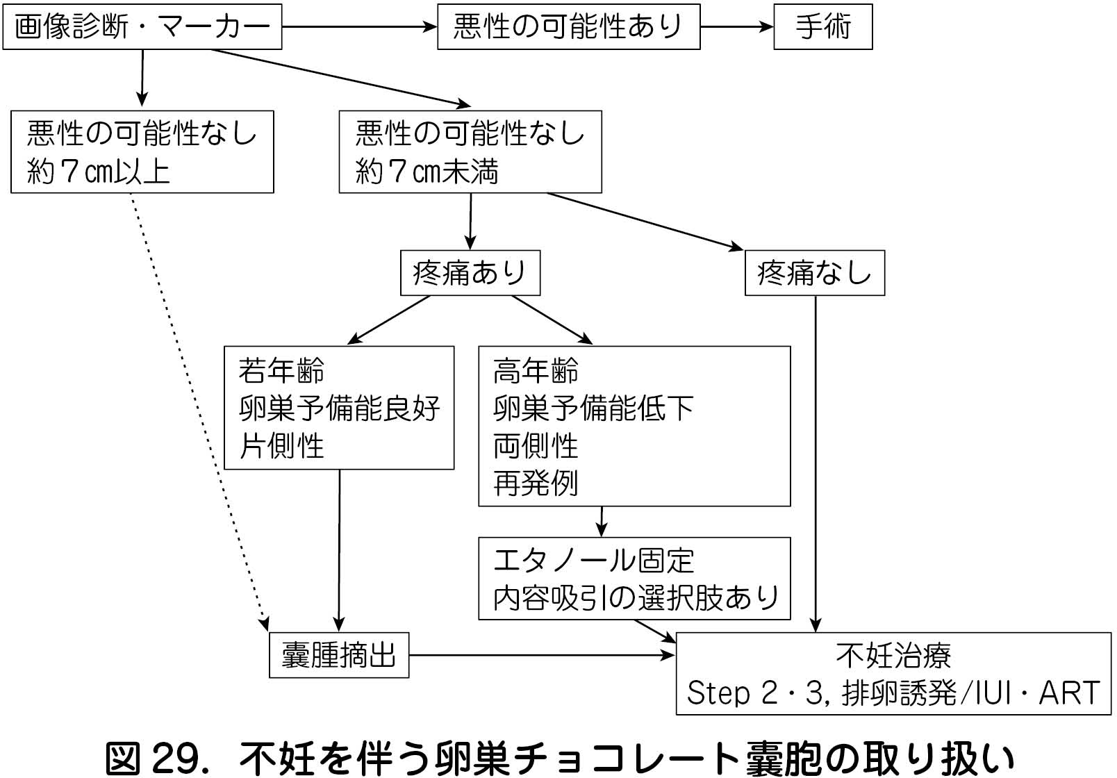 子宮 内 膜 症 治療