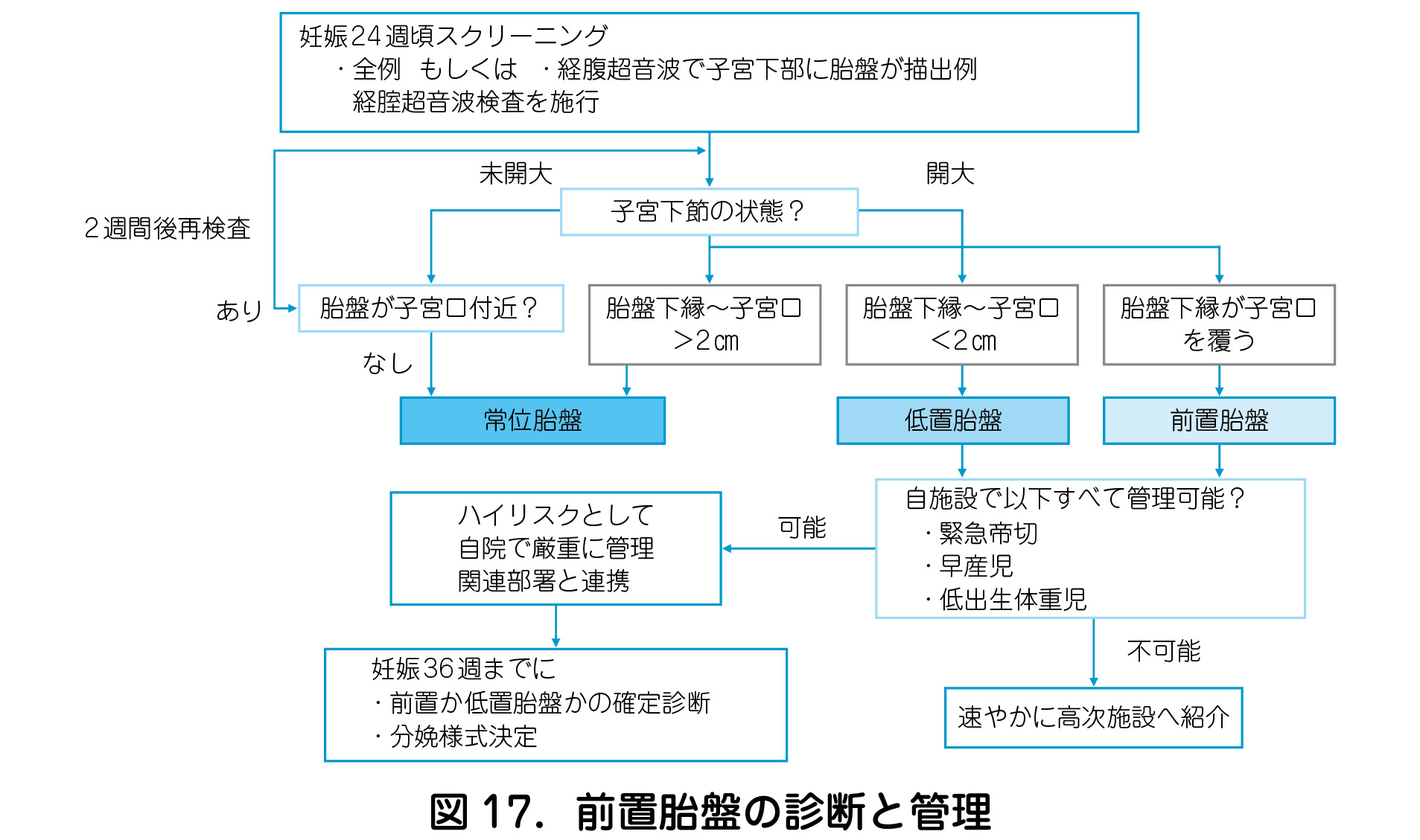 前 置 胎盤 と は