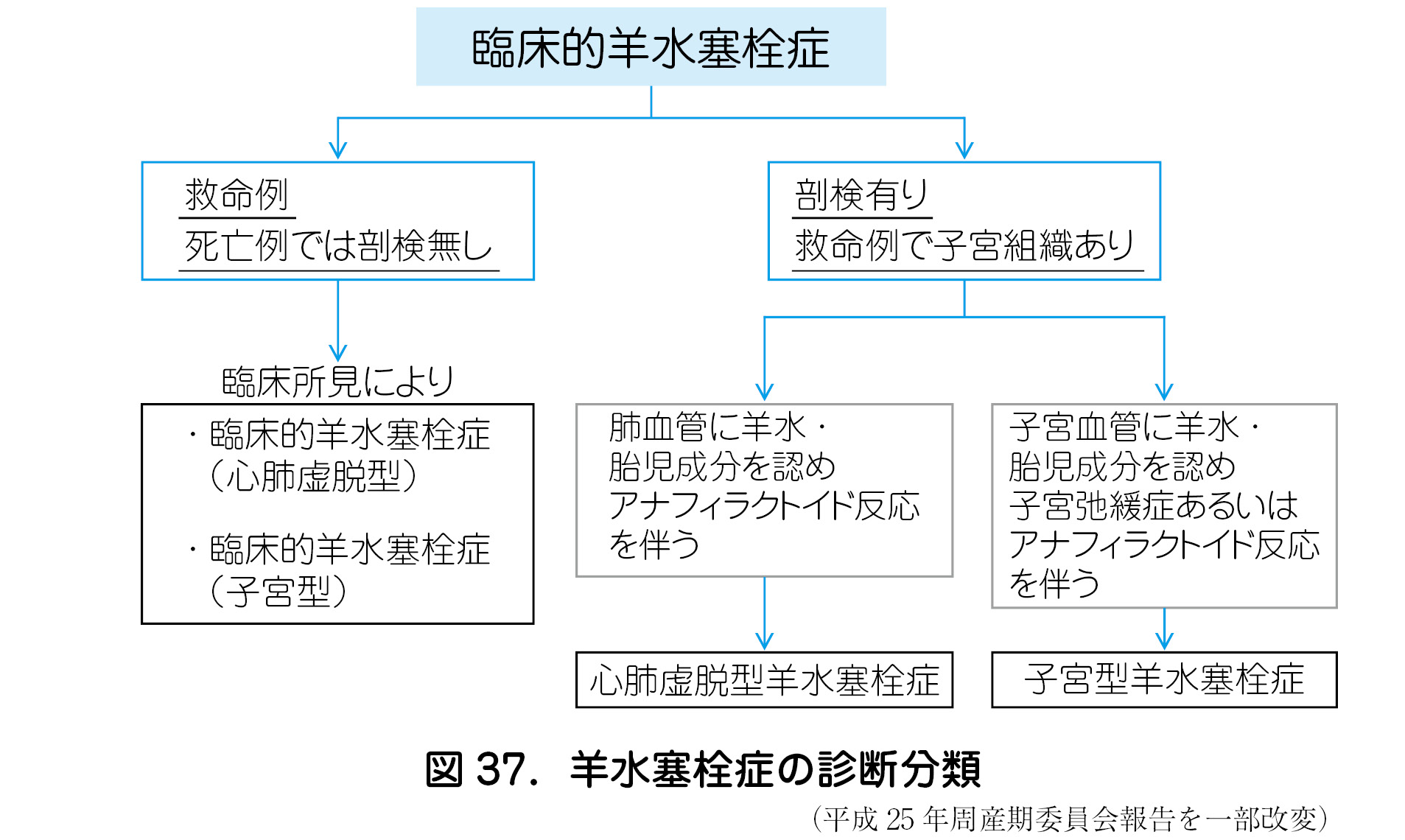 7 羊水塞栓症 日本産婦人科医会