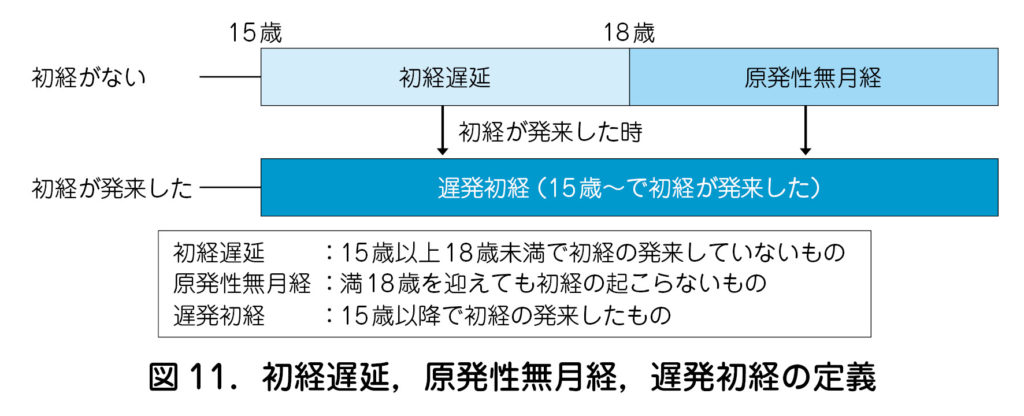 月経 月経 | 知りたいことば | 子宮筋腫note