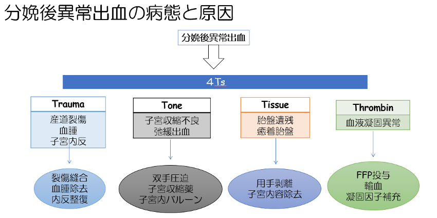 医師の診察を受ける時期