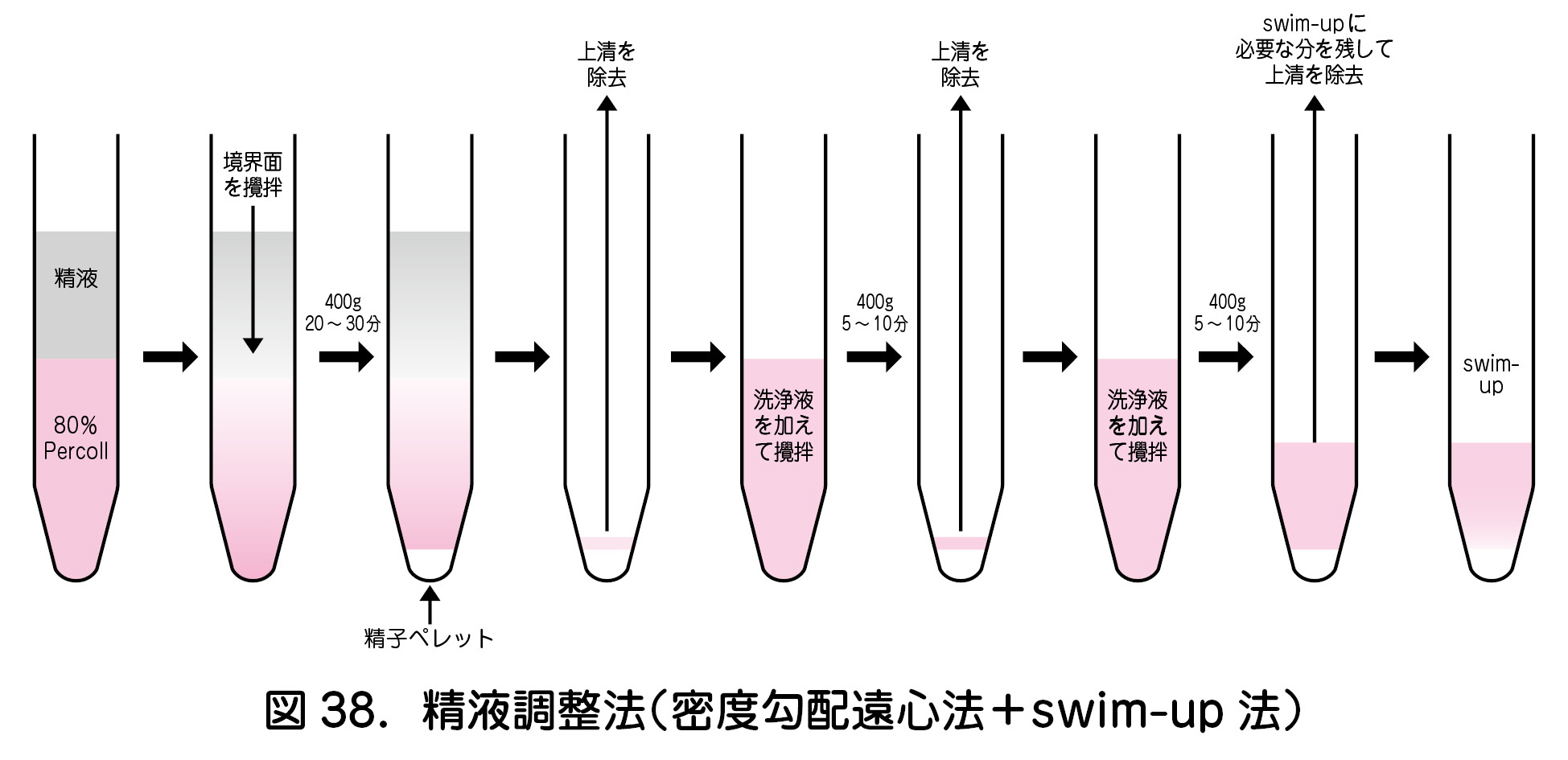 図38．精液調整法（密度勾配遠心法＋swim-up法）