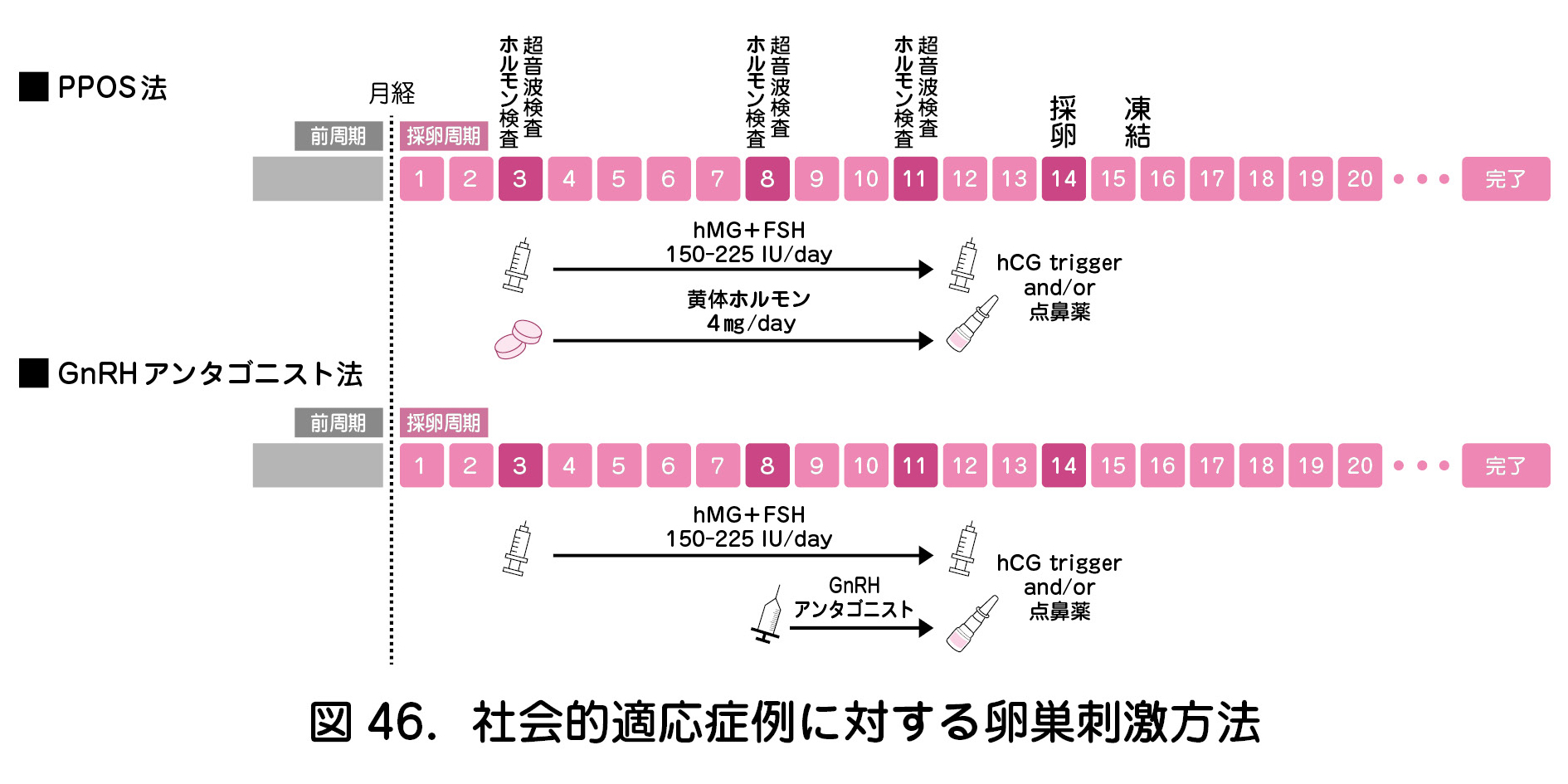 図46．社会的適応症例に対する卵巣刺激方法