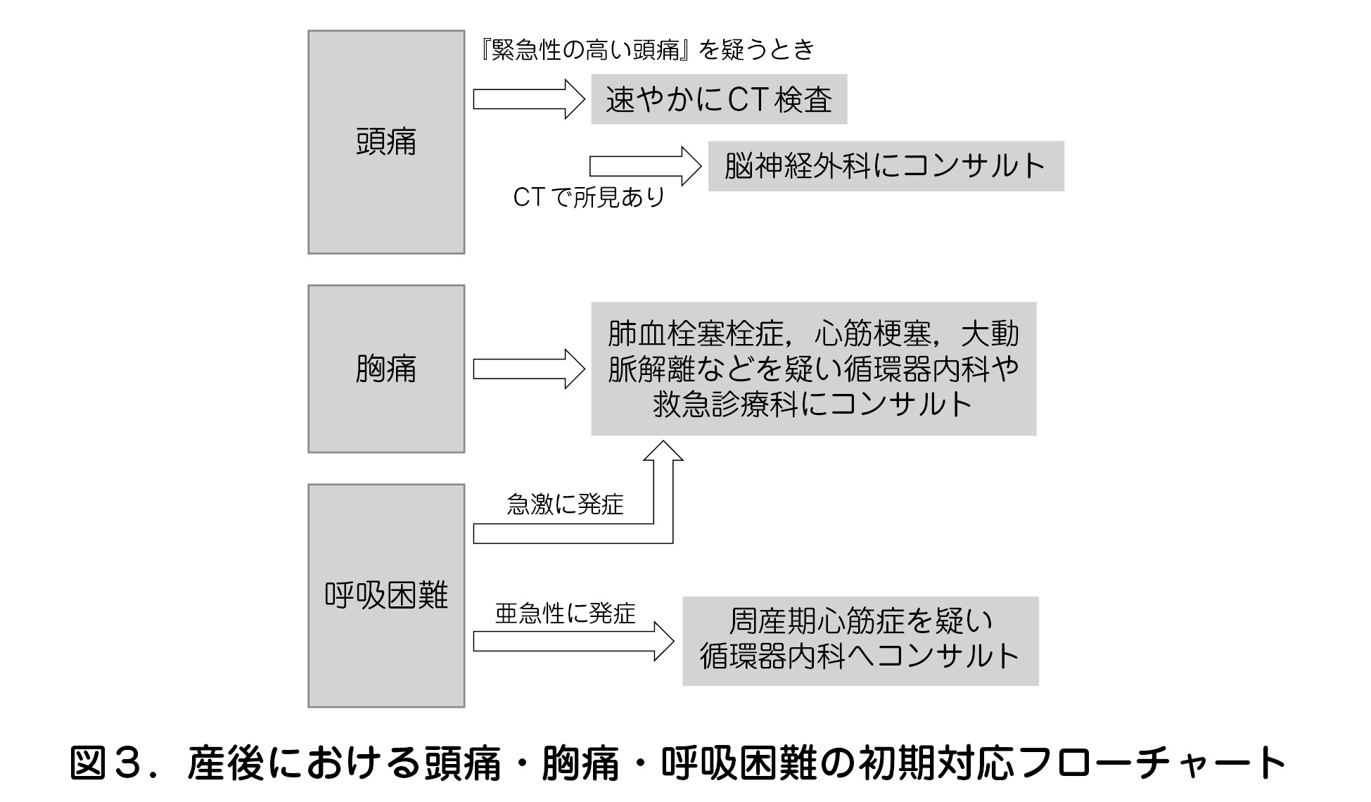 図３．産後における頭痛・胸痛・呼吸困難の初期対応フローチャート