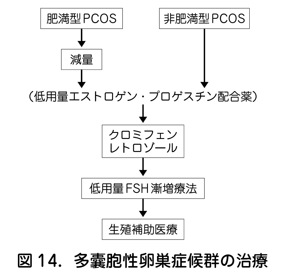 図14．多囊胞性卵巣症候群の治療