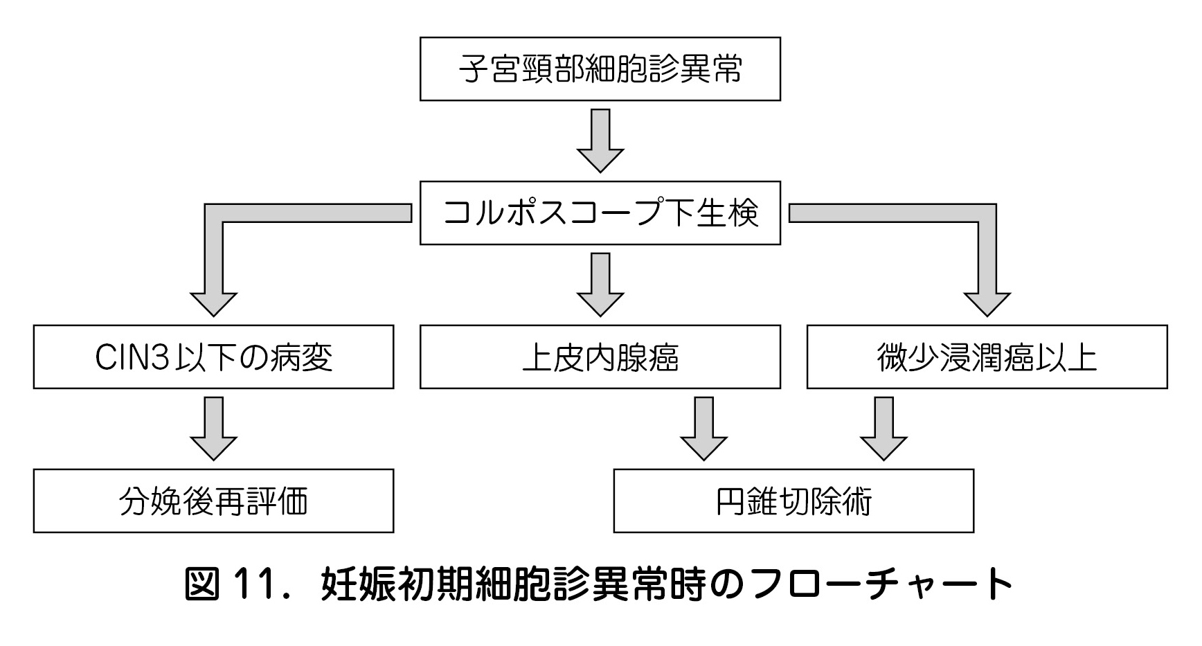 図11．妊娠初期細胞診異常時のフローチャート