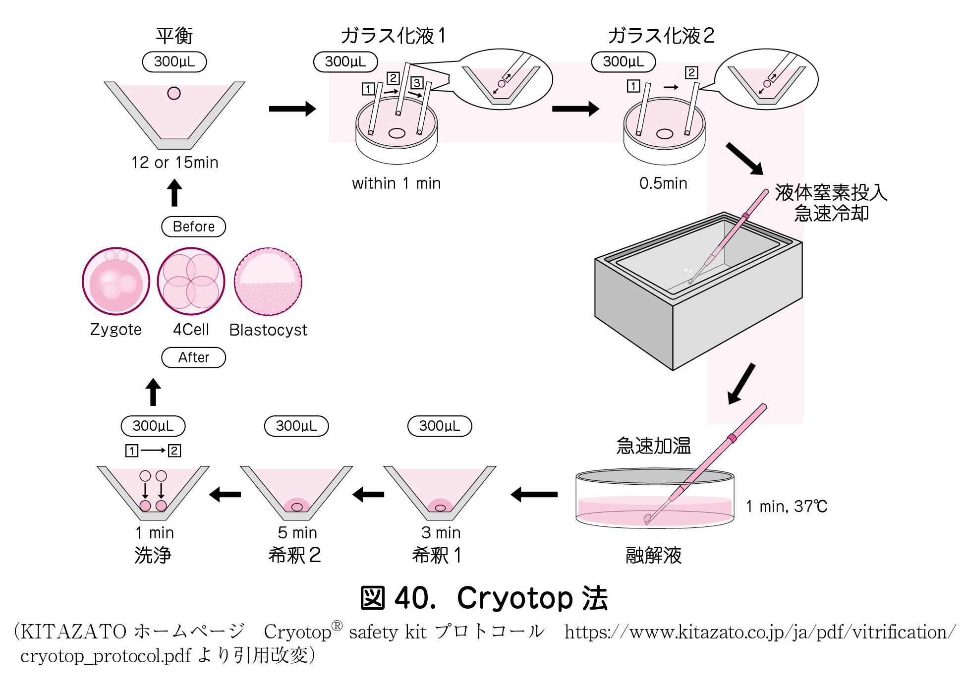 図40．Cryotop法