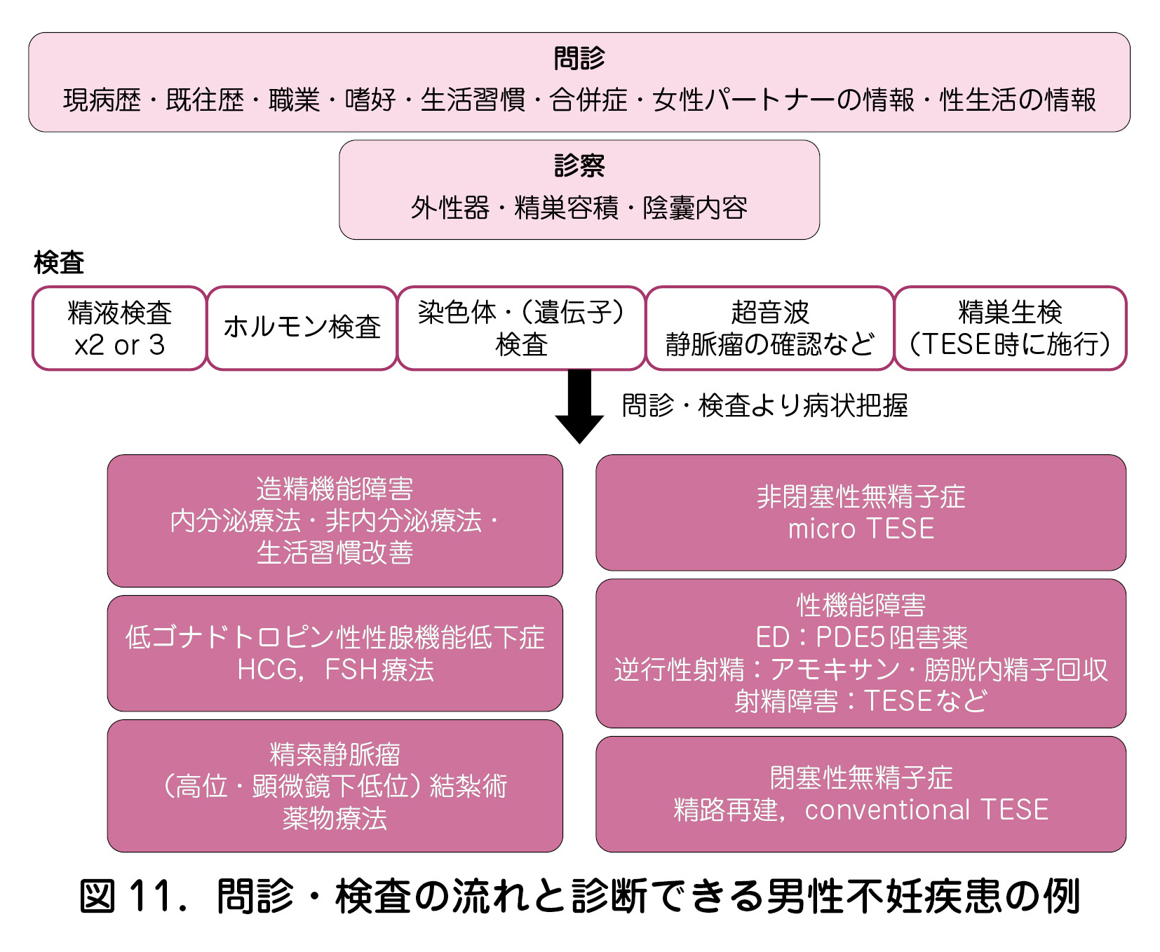 図11．問診・検査の流れと診断できる男性不妊疾患の例