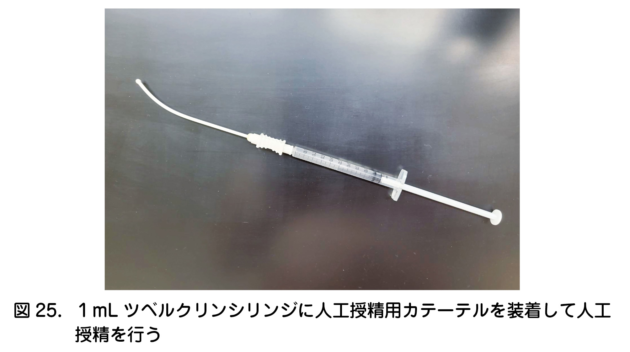 図25．１mLツベルクリンシリンジに人工授精用カテーテルを装着して人工授精を行う