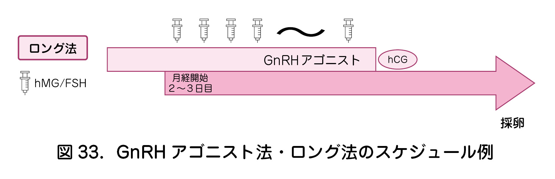 図33．GnRH アゴニスト法・ロング法のスケジュール例