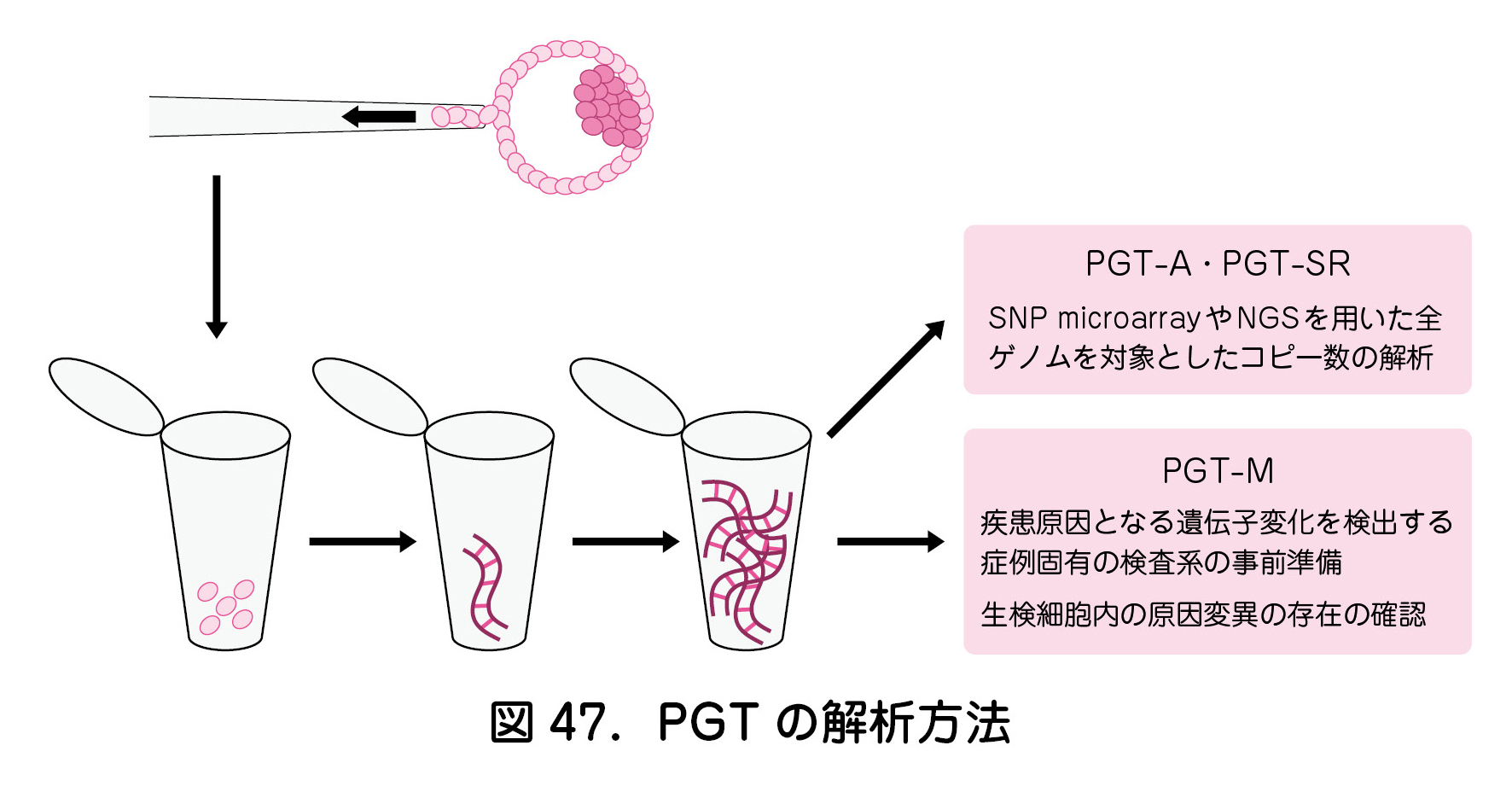 図47．PGTの解析方法