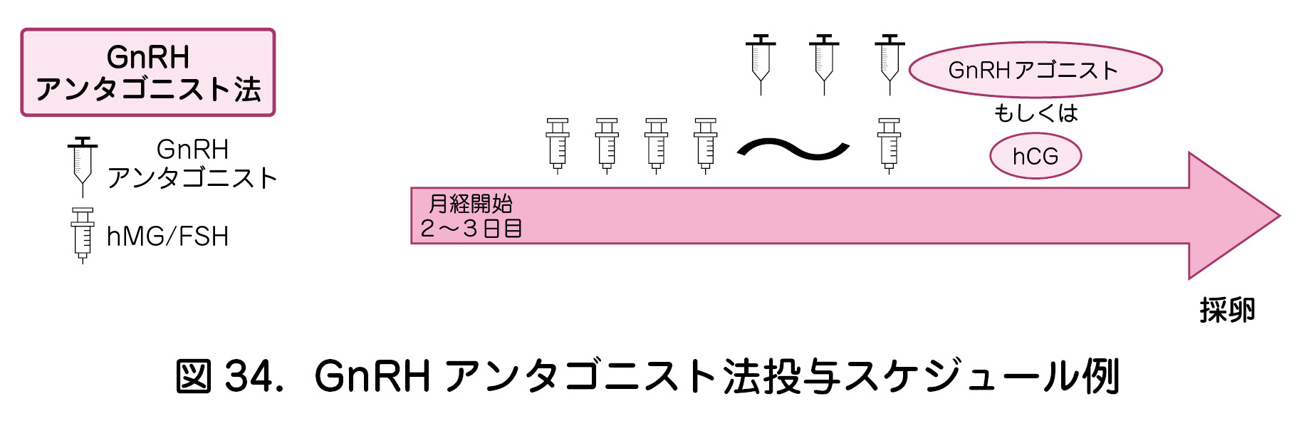 図34．GnRHアンタゴニスト法投与スケジュール例