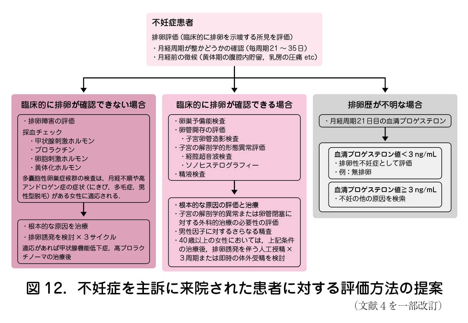 図12．不妊症を主訴に来院された患者に対する評価方法の提案