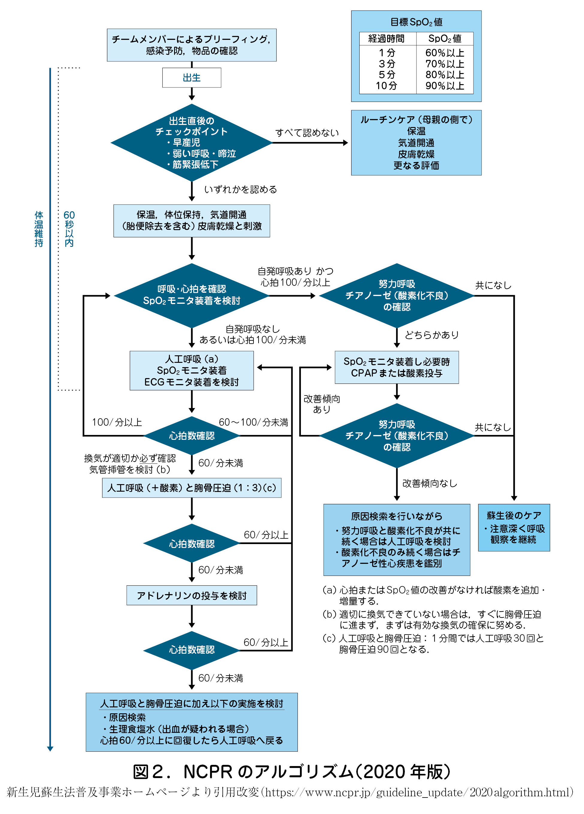 図2.NCPR のアルゴリズム(2020 年版)新生児蘇生法普及事業ホームページより引用改変(https://www.ncpr.jp/guideline_update/2020algorithm.html)