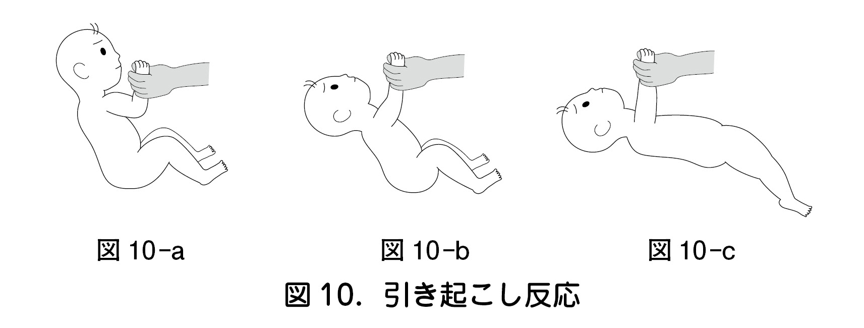図 10.引き起こし反応