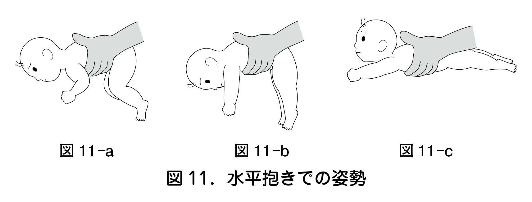 図 11.水平抱きでの姿勢