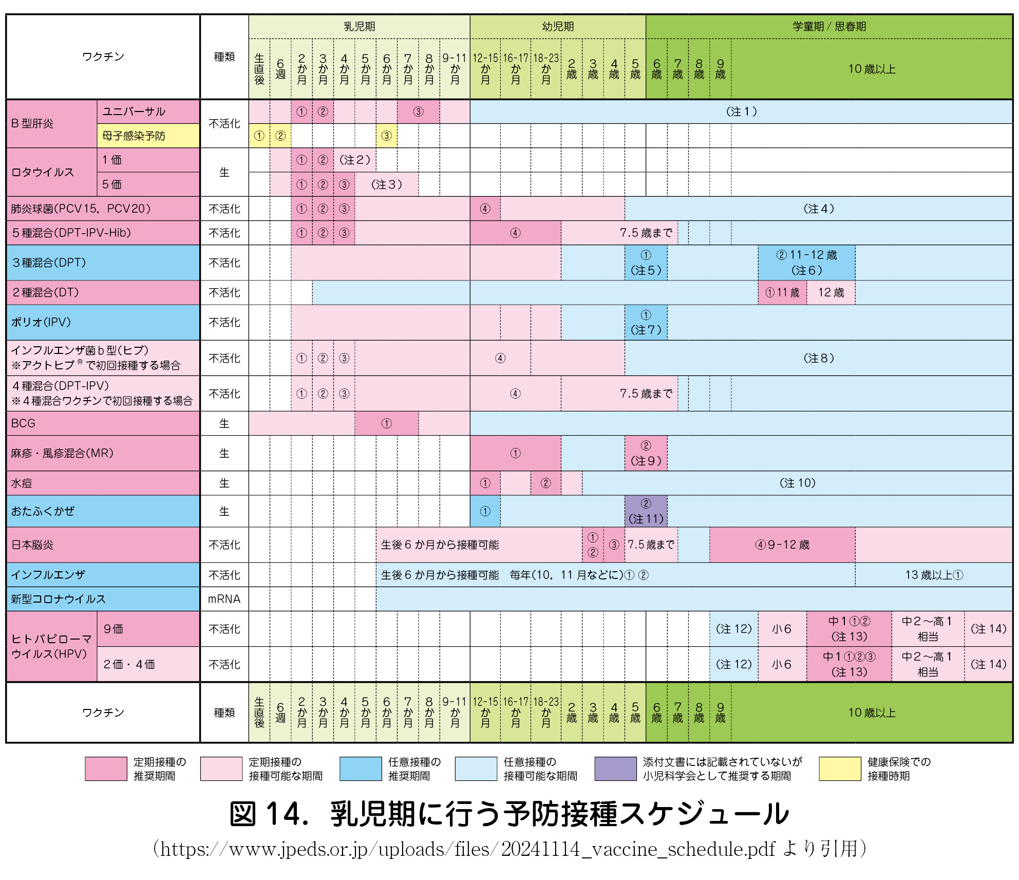 図 14．乳児期に行う予防接種スケジュール（https://www.jpeds.or.jp/uploads/files/20241114_vaccine_schedule.pdf より引用）