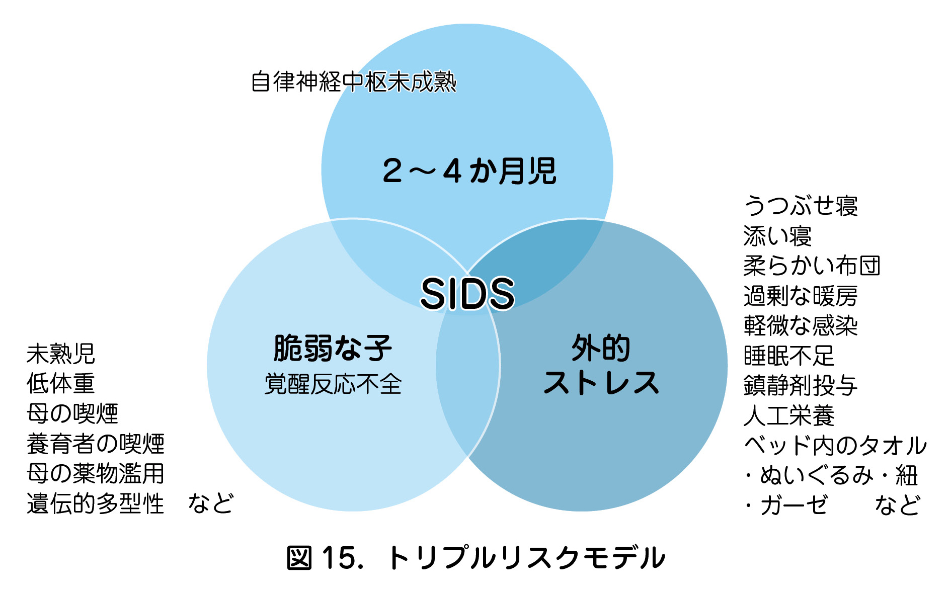 ①自律神経中枢未成熟  ２～４か月児  ②未熟児  低体重  母の喫煙  養育者の喫煙  母の薬物濫用  遺伝的多型性　など  未熟児  低体重  母の喫煙  養育者の喫煙  母の薬物濫用  遺伝的多型性　など  脆弱な子  覚醒反応不全  ③外的  ストレス  うつぶせ寝  添い寝  柔らかい布団  過剰な暖房  軽微な感染  睡眠不足  鎮静剤投与  人工栄養  ベッド内のタオル  ・ぬいぐるみ・紐  ・ガーゼ　　など  うつぶせ寝  添い寝  柔らかい布団  過剰な暖房  軽微な感染  睡眠不足  鎮静剤投与  人工栄養  ベッド内のタオル  ・ぬいぐるみ・紐  ・ガーゼ　　など  SIDS  図 15．トリプルリスクモデル