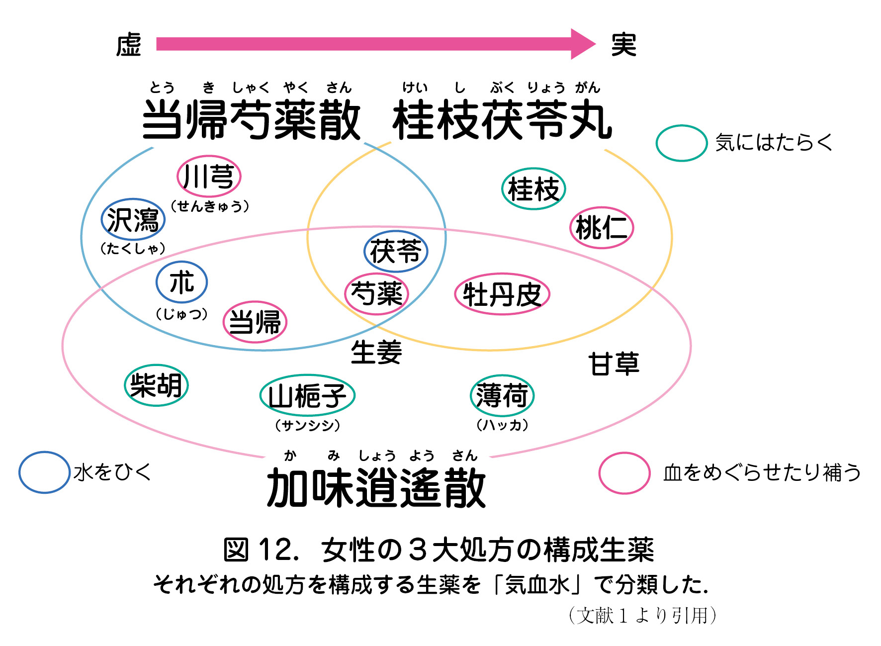 図 12．女性の３大処方の構成生薬それぞれの処方を構成する生薬を「気血水」で分類した．（文献１より引用） 当帰芍薬散 桂枝茯苓丸 加味逍遙散