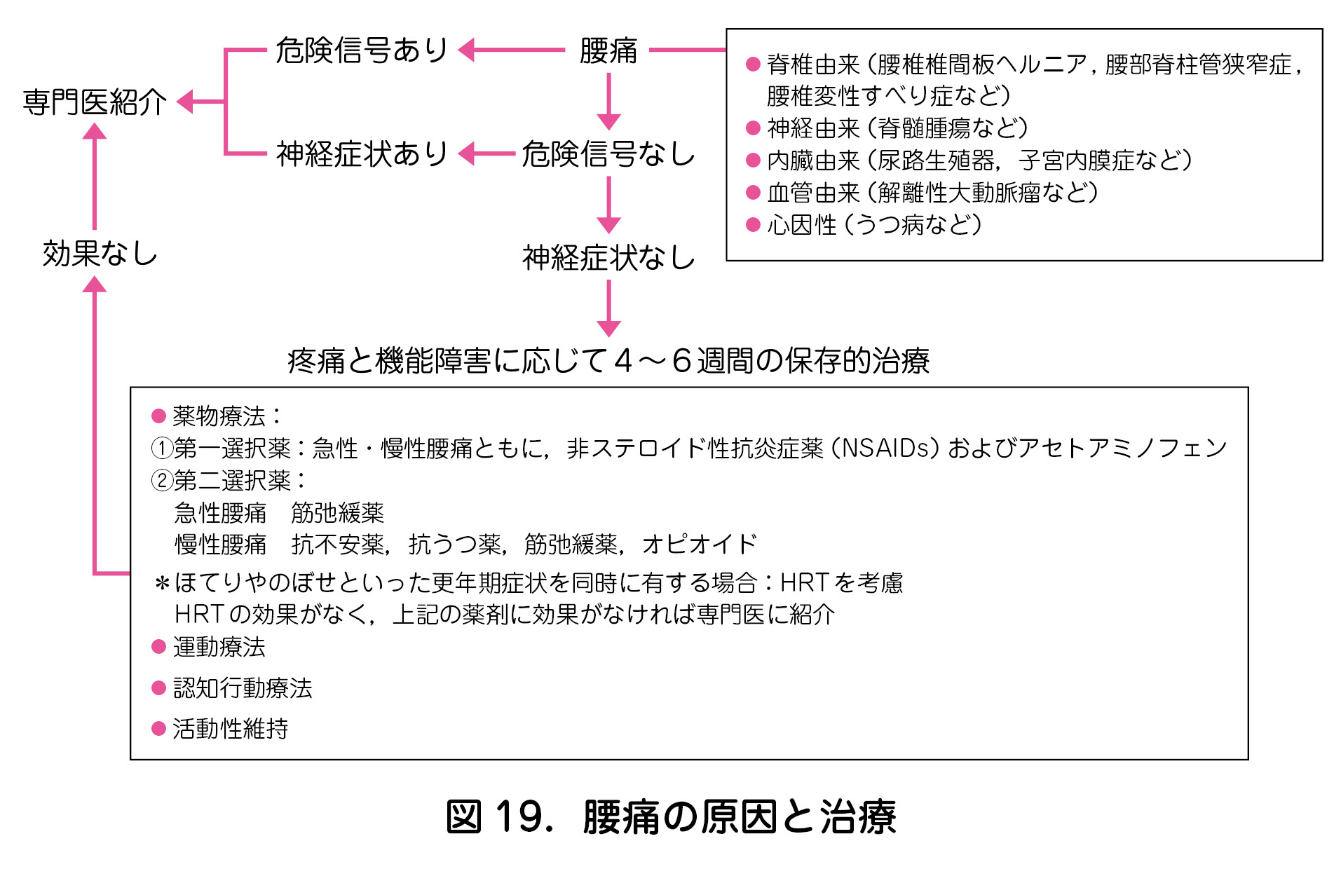 図 19.腰痛の原因と治療