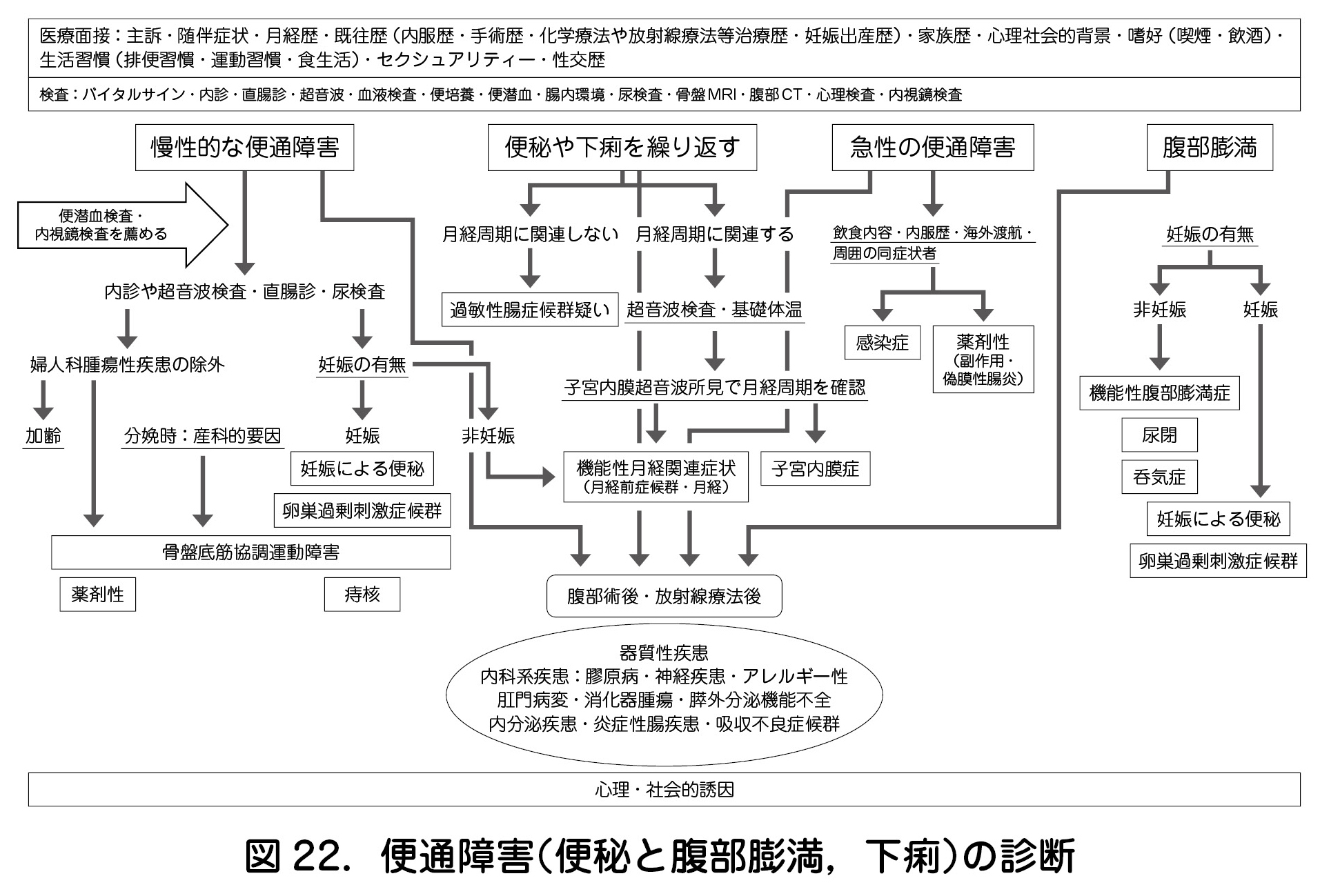 図 22．便通障害（便秘と腹部膨満，下痢）の診断